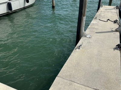 Dock For Rent At 45″ boat slip Grandview Palace Yacht Club NORTH BAY VILLAGE